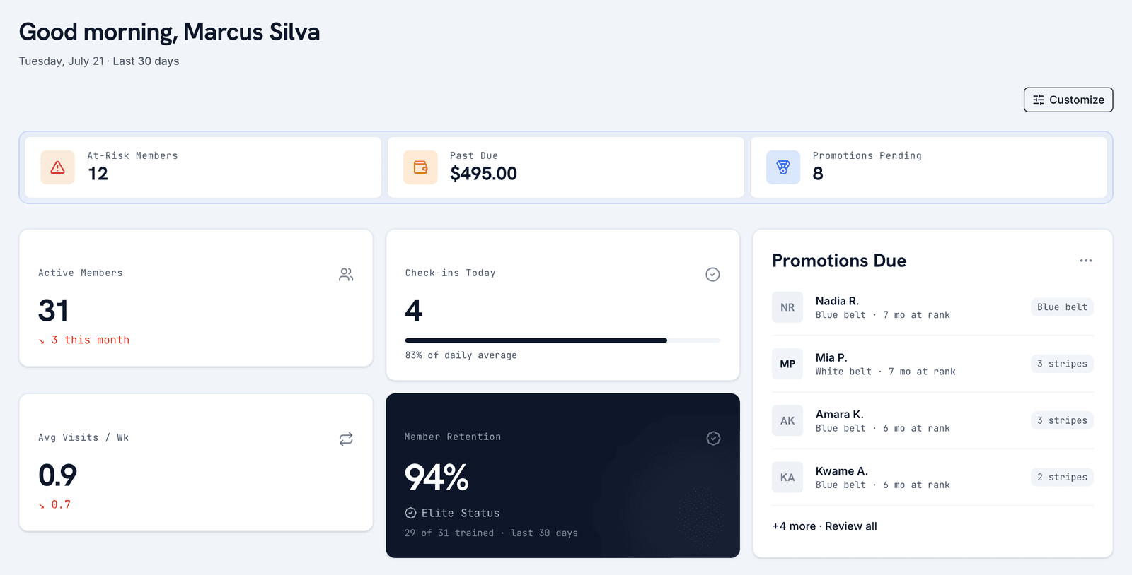 rollog studio owner dashboard showing at-risk members, past-due balance, member retention, and members due for promotion